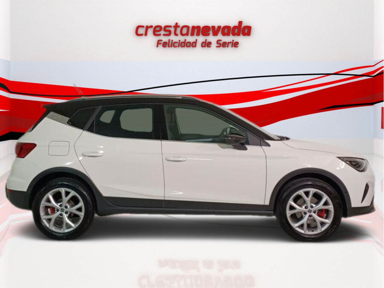 seat arona 2023 / foto grande (2)