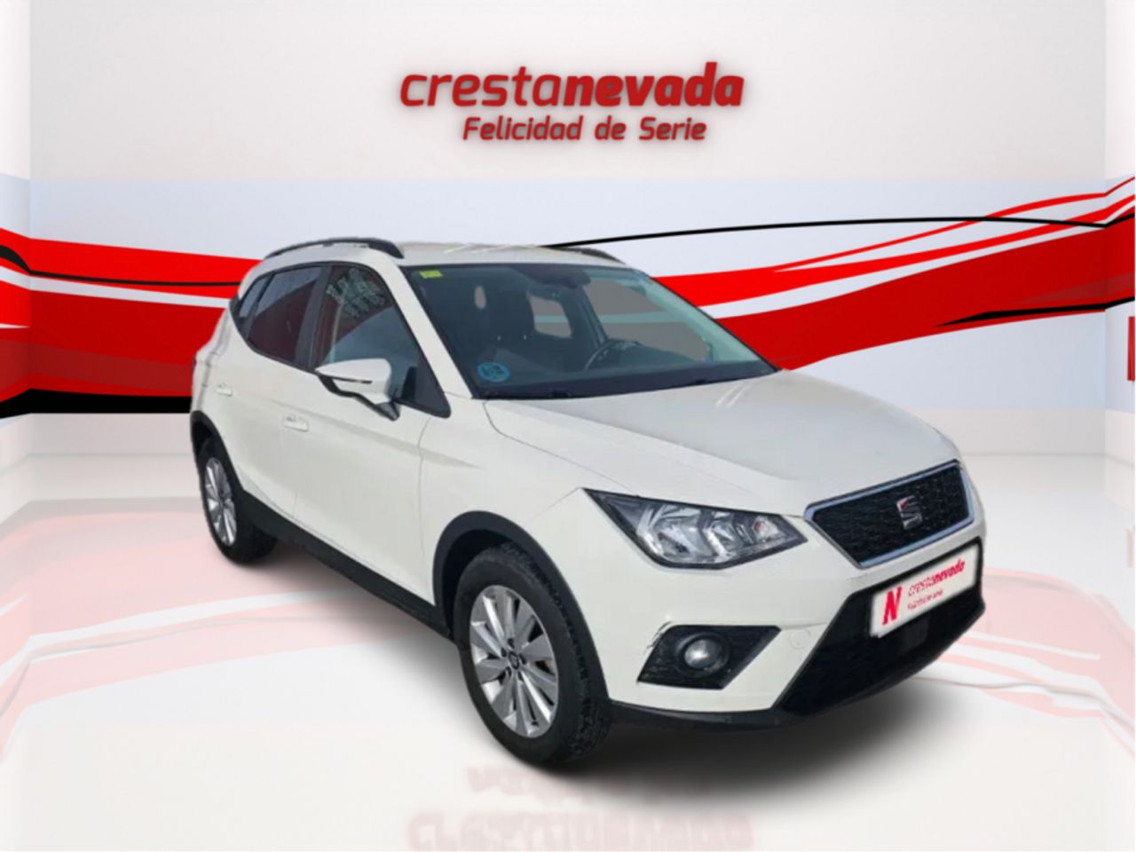 seat arona 2019 / foto grande (3)