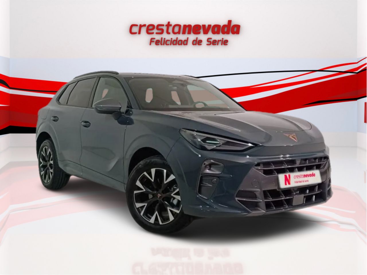 cupra terramar 2024 / foto grande (3)