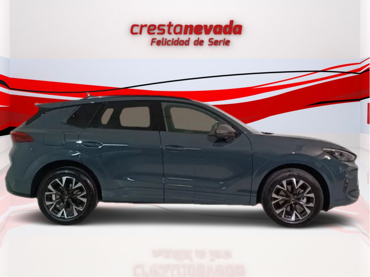cupra terramar 2024 / foto grande (2)