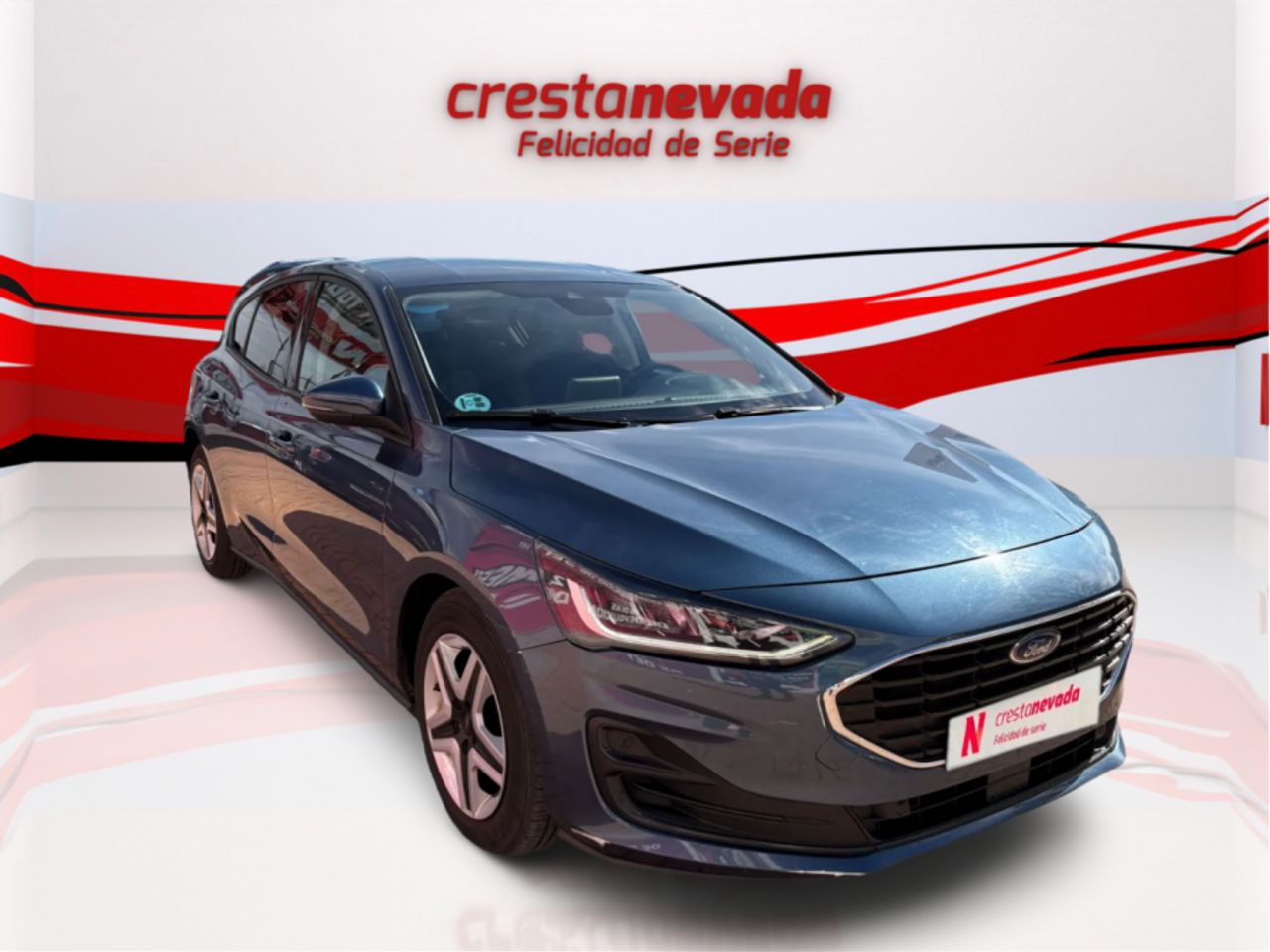 ford focus 2022 / foto grande (3)