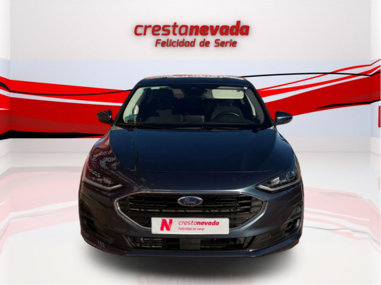 ford focus 2022 / foto grande (2)