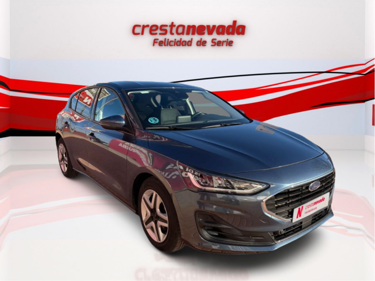 ford focus 2022 / foto grande (3)