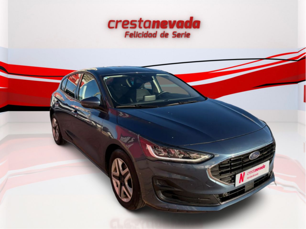 ford focus 2022 / foto grande (3)
