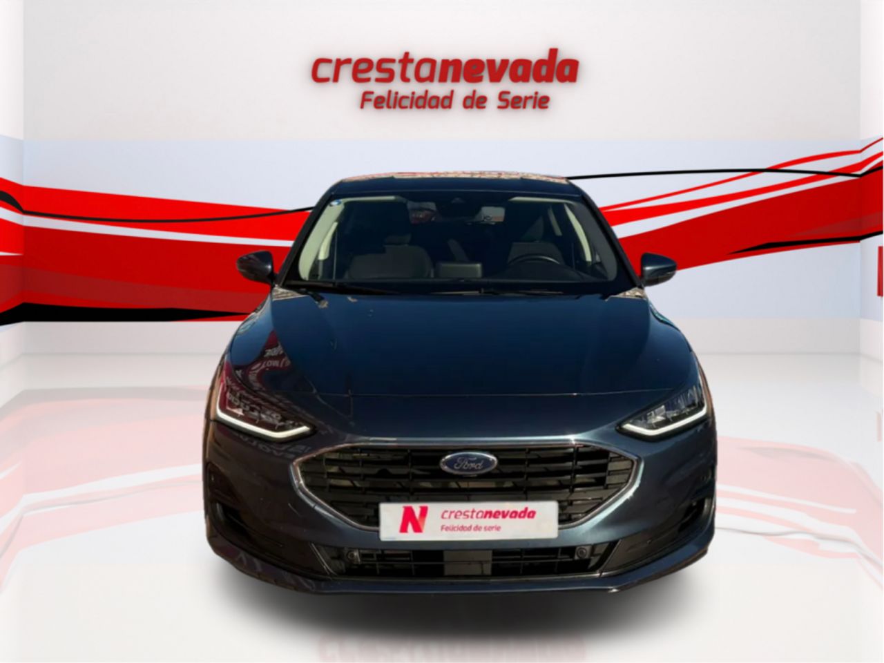 ford focus 2022 / foto grande (2)