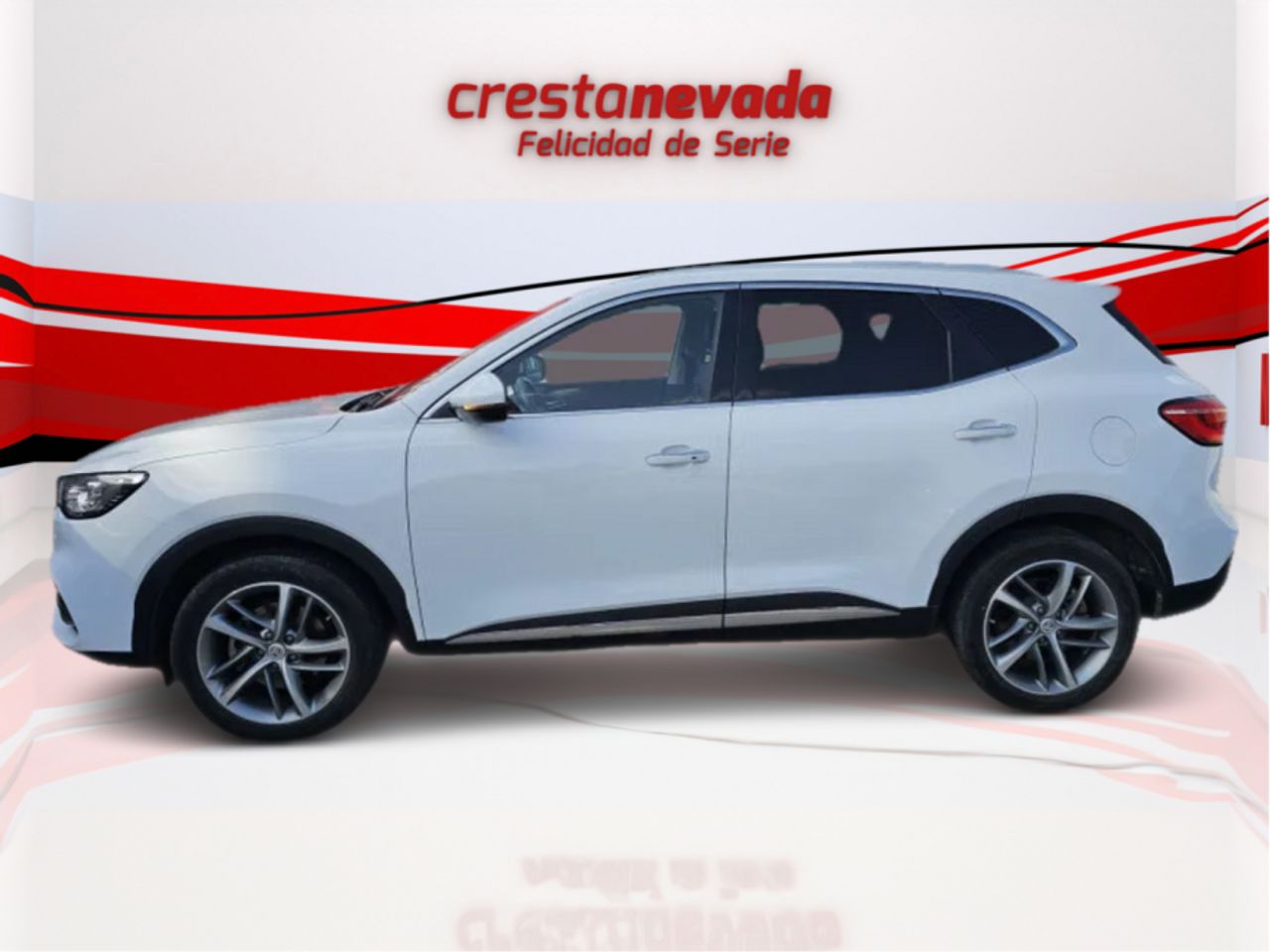 mg ehs 2022 / foto grande (3)