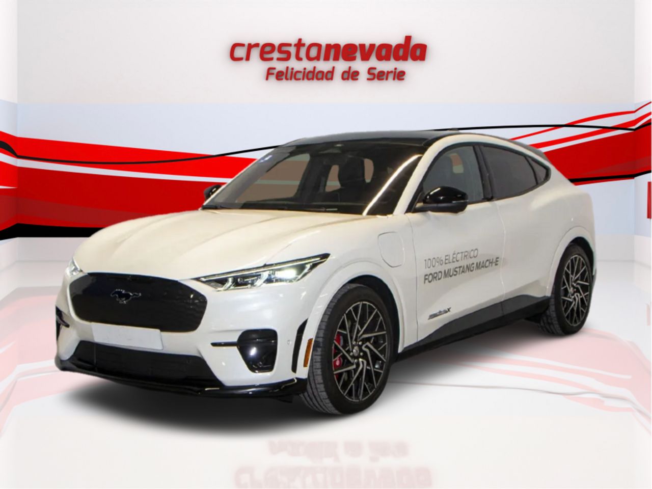 Foto ford mustang 2023 /