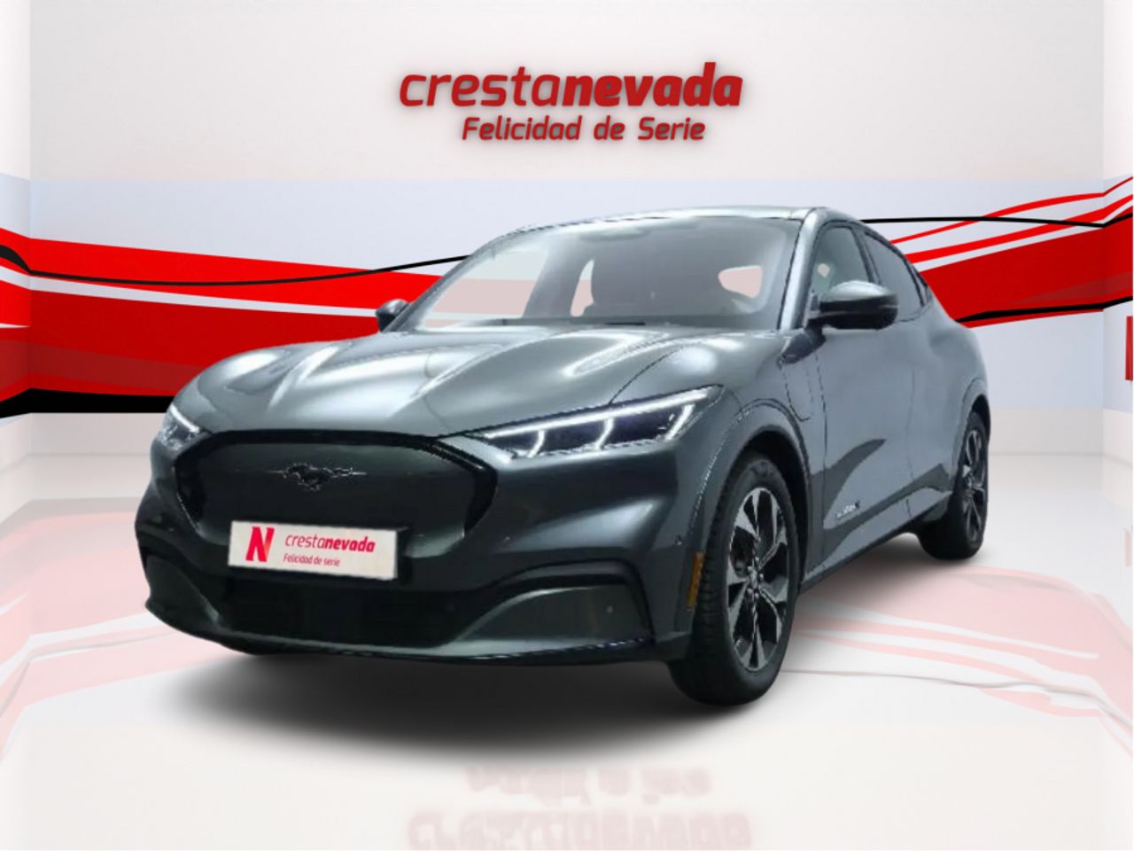 Foto ford mustang 2021 /