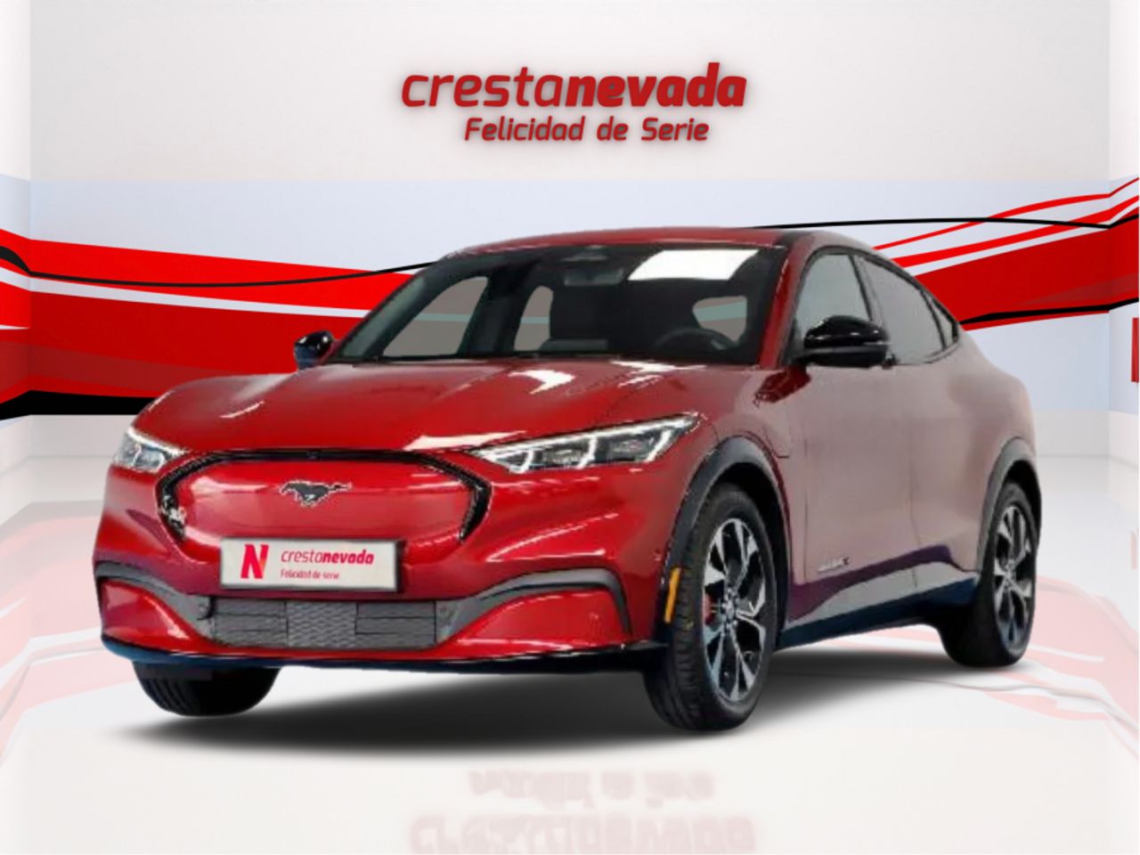 Foto ford mustang 2022 /