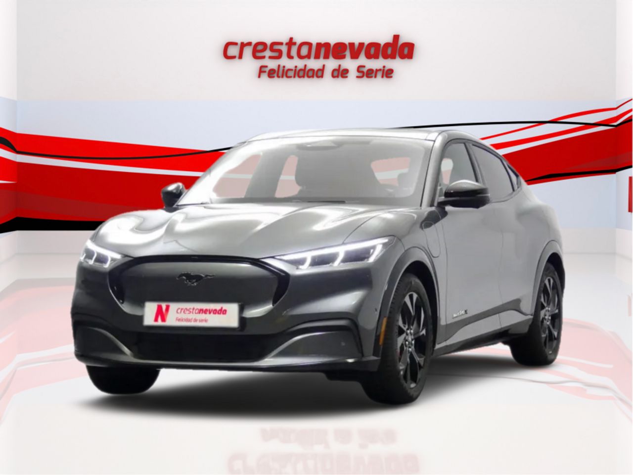 Foto ford mustang 2023 /