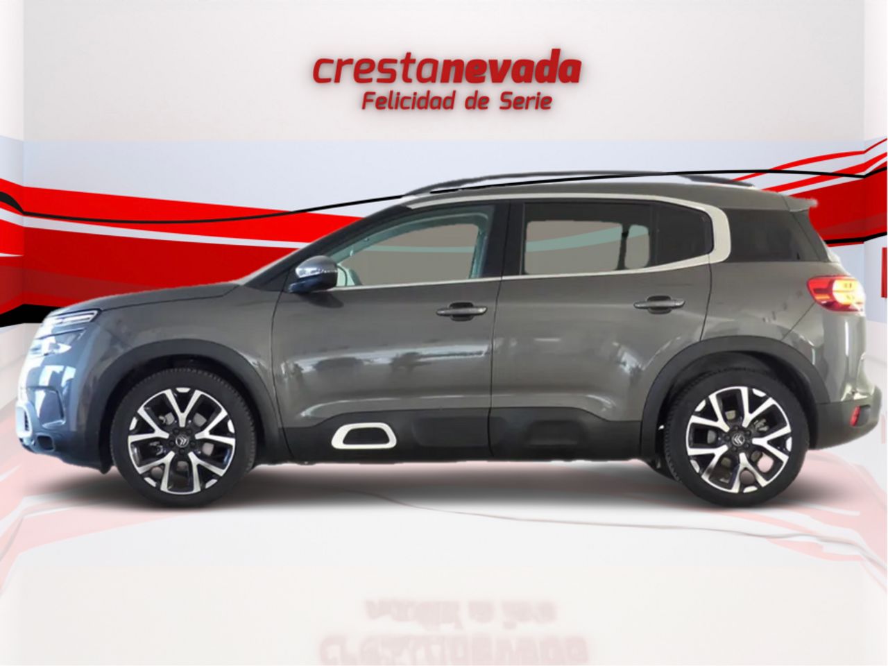 citroën c5 aircross 2020 / foto grande (3)