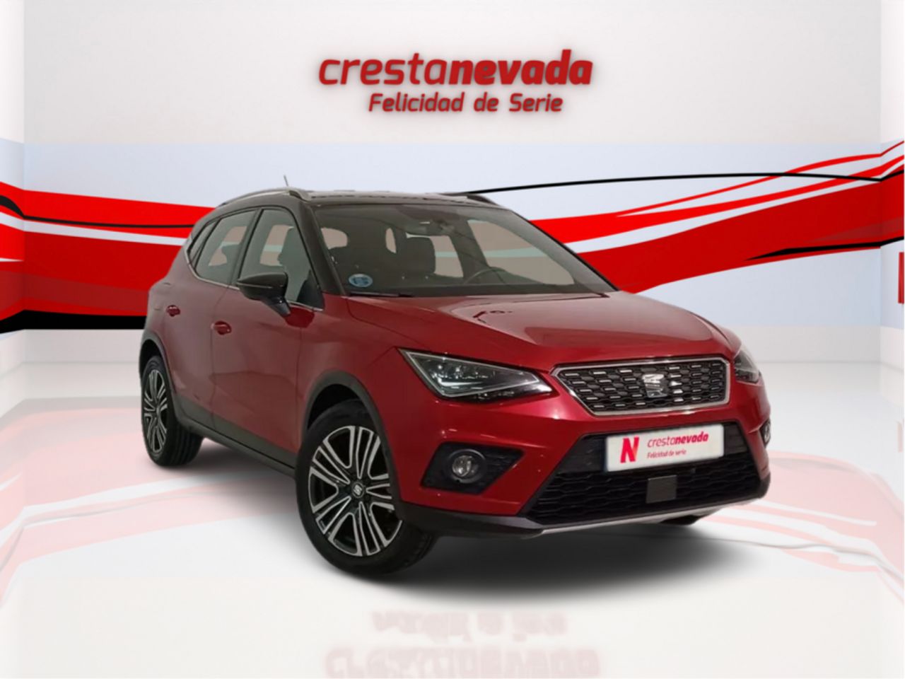 seat arona 2020 / foto grande (3)