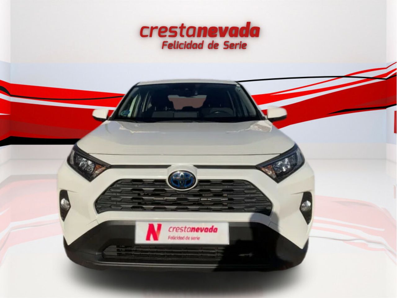 toyota rav4 2020 / foto grande (2)