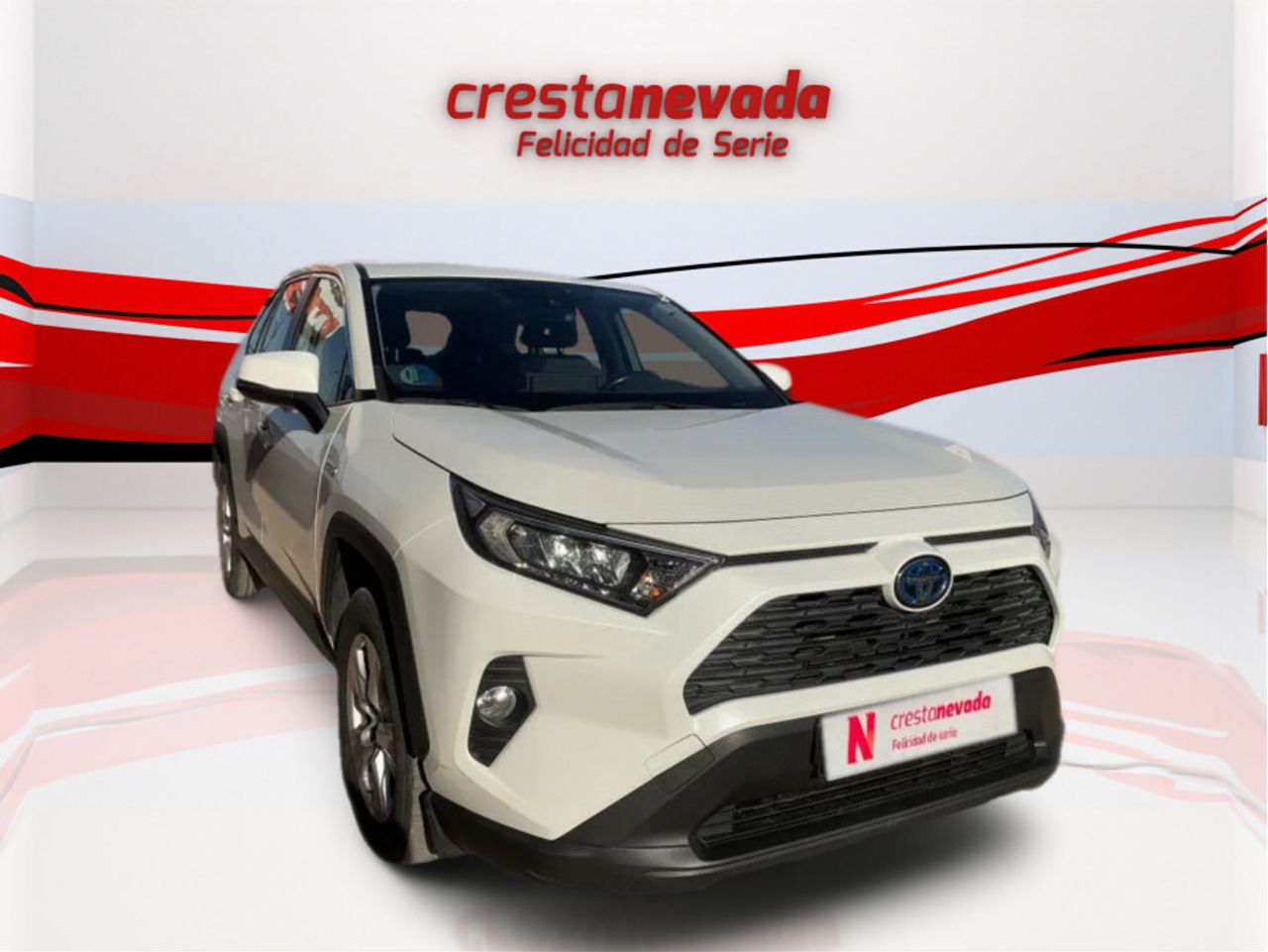 toyota rav4 2020 / foto grande (3)