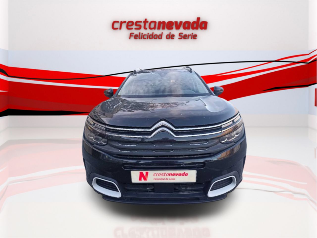 citroën c5 aircross 2021 / foto grande (2)
