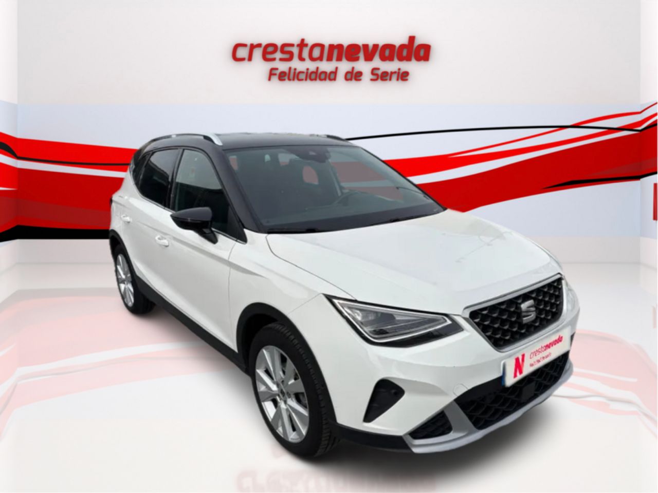 seat arona 2022 / foto grande (3)