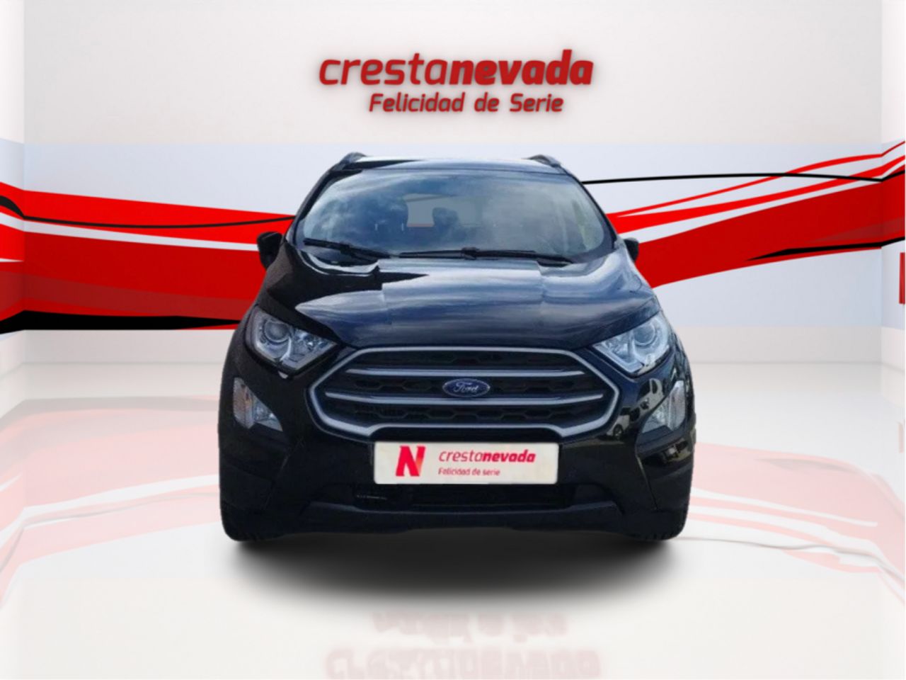 ford ecosport 2019 / foto grande (3)