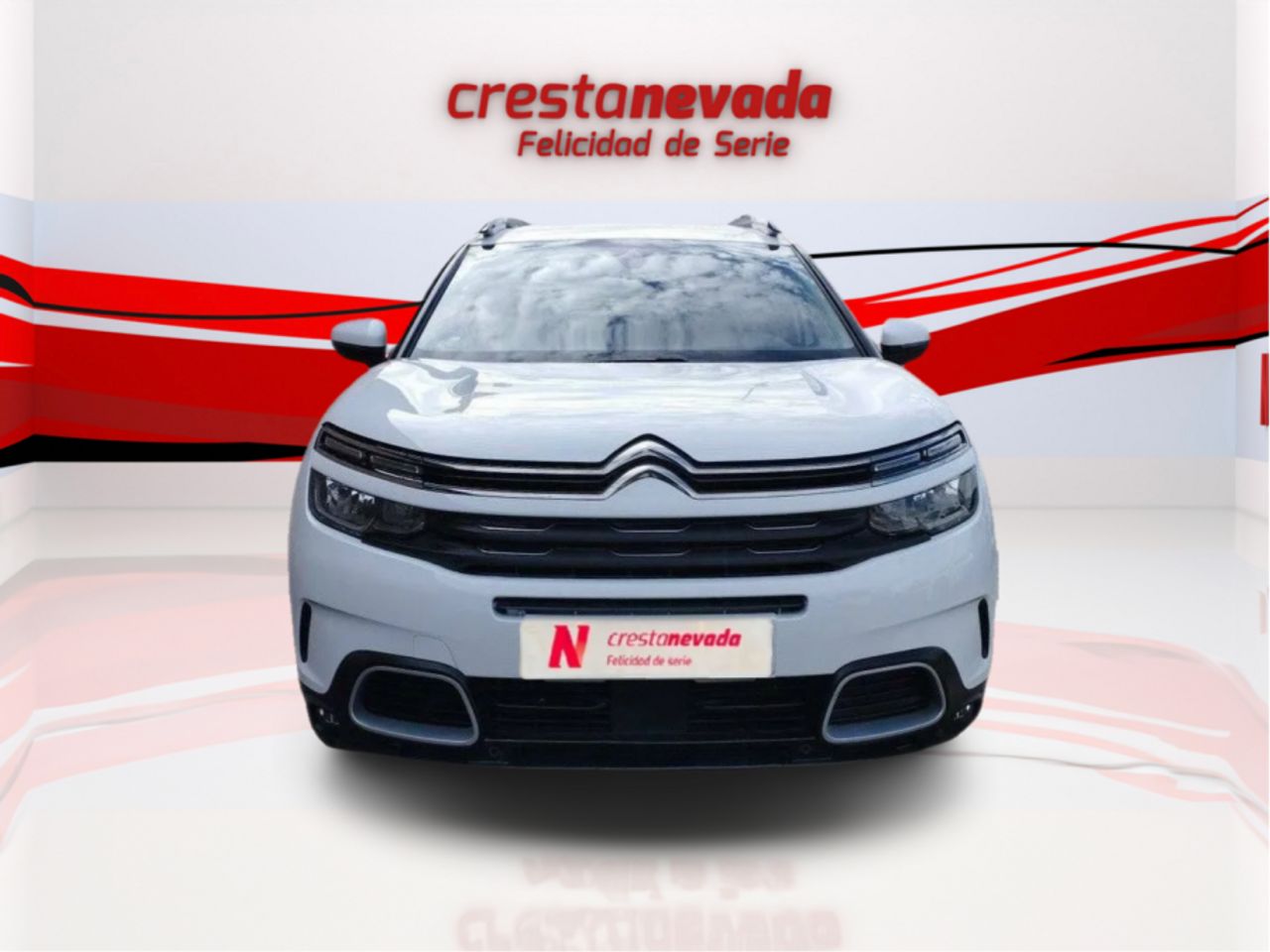 citroën c5 aircross 2020 / foto grande (2)
