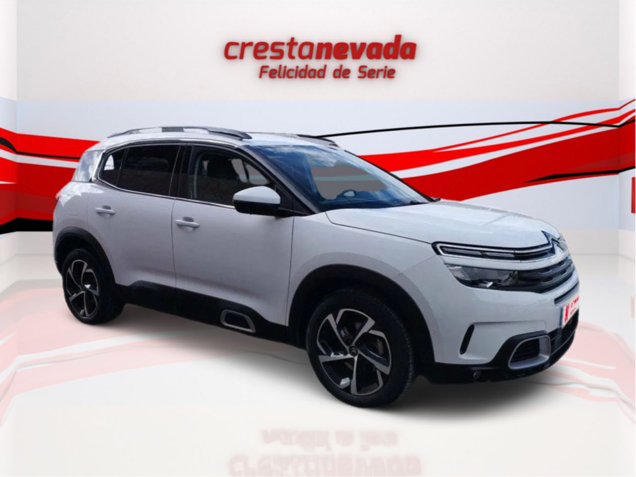 citroën c5 aircross 2020 / foto grande (3)