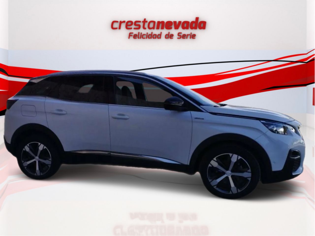 peugeot 3008 2019 / foto grande (3)