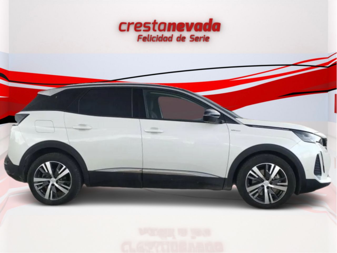 peugeot 3008 2021 / foto grande (3)