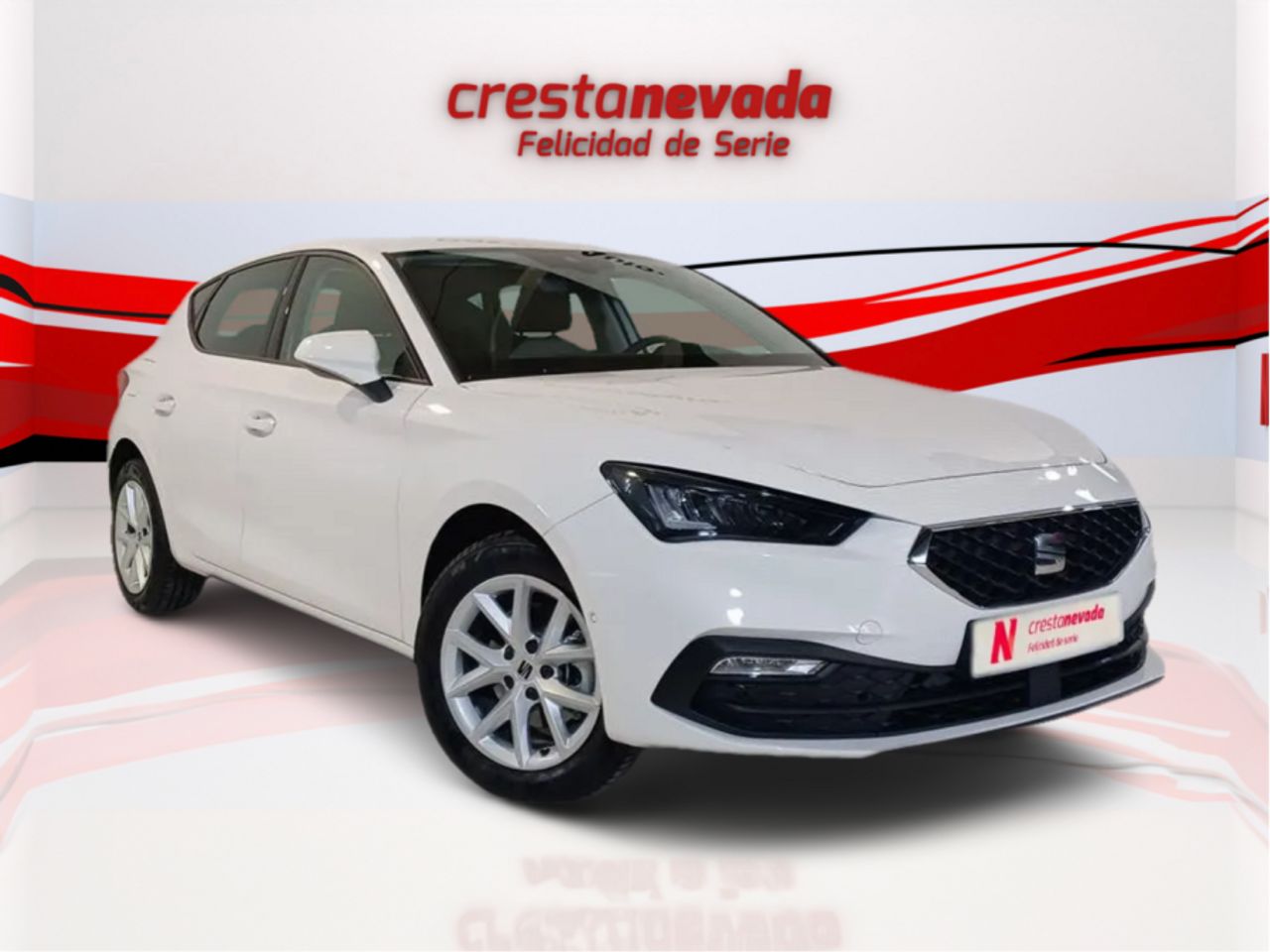 seat leon 2024 / foto grande (3)