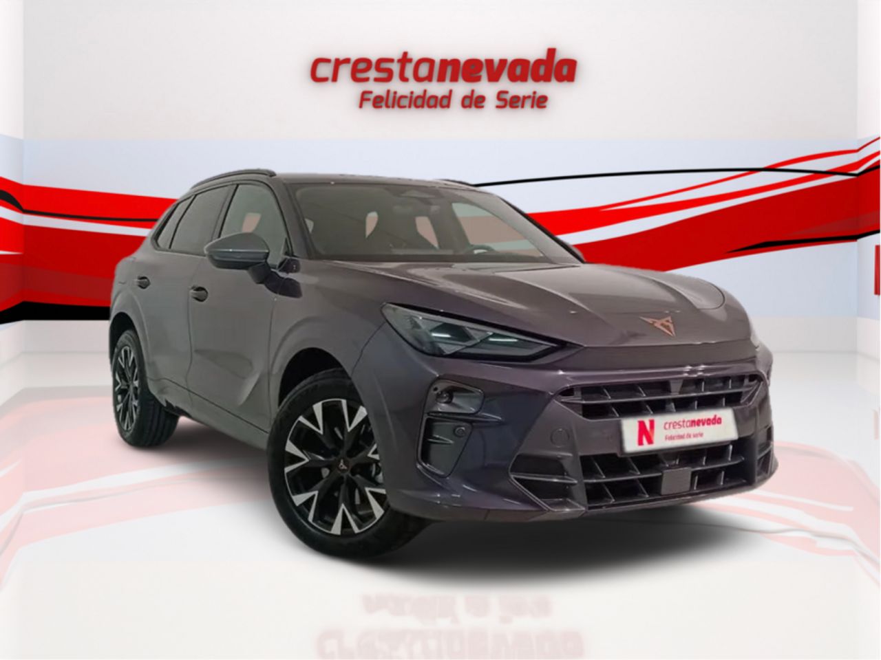 cupra terramar 2024 / foto grande (3)