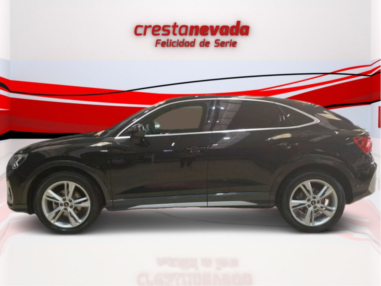 audi q3 2021 / foto grande (3)