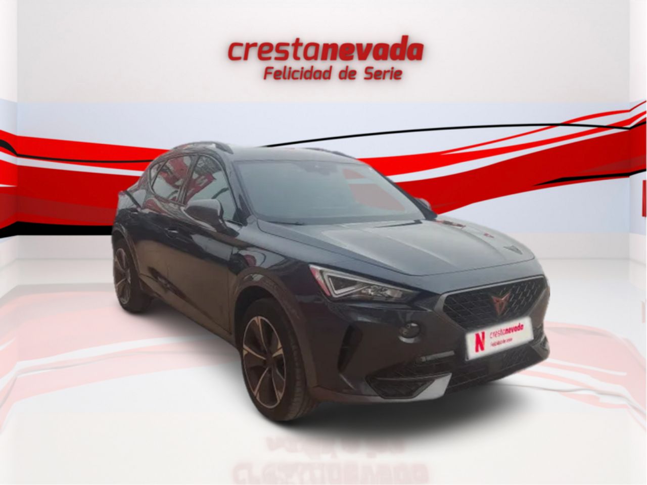 cupra formentor 2021 / foto grande (3)