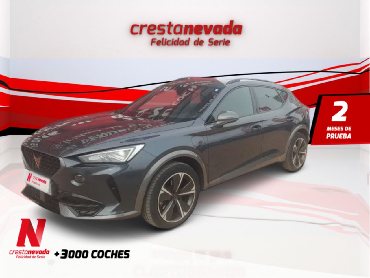 Foto cupra formentor 2021 /
