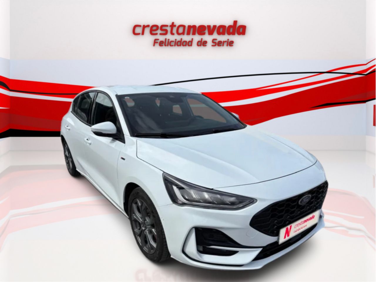 ford focus 2023 / foto grande (3)