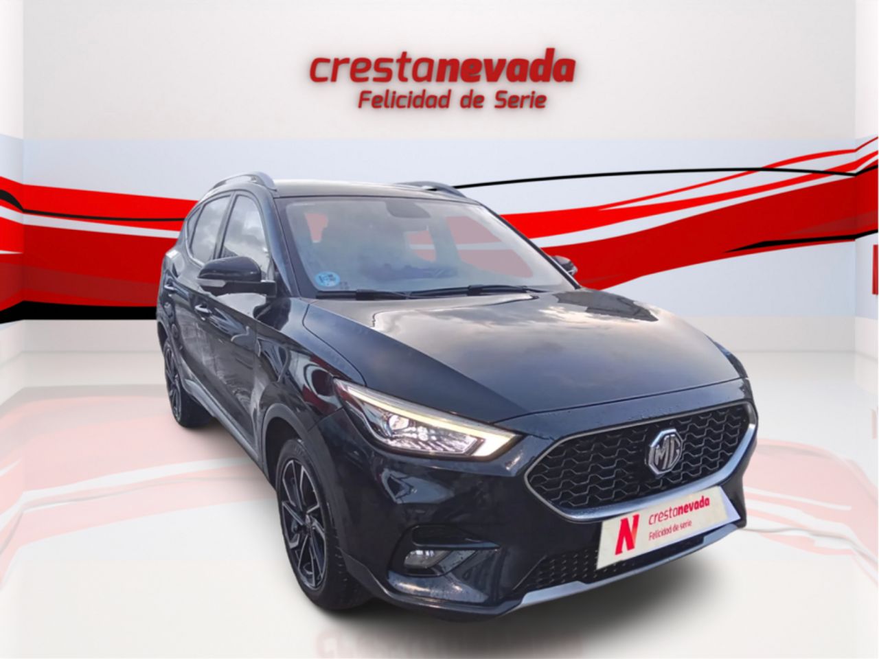 mg zs 2022 / foto grande (3)