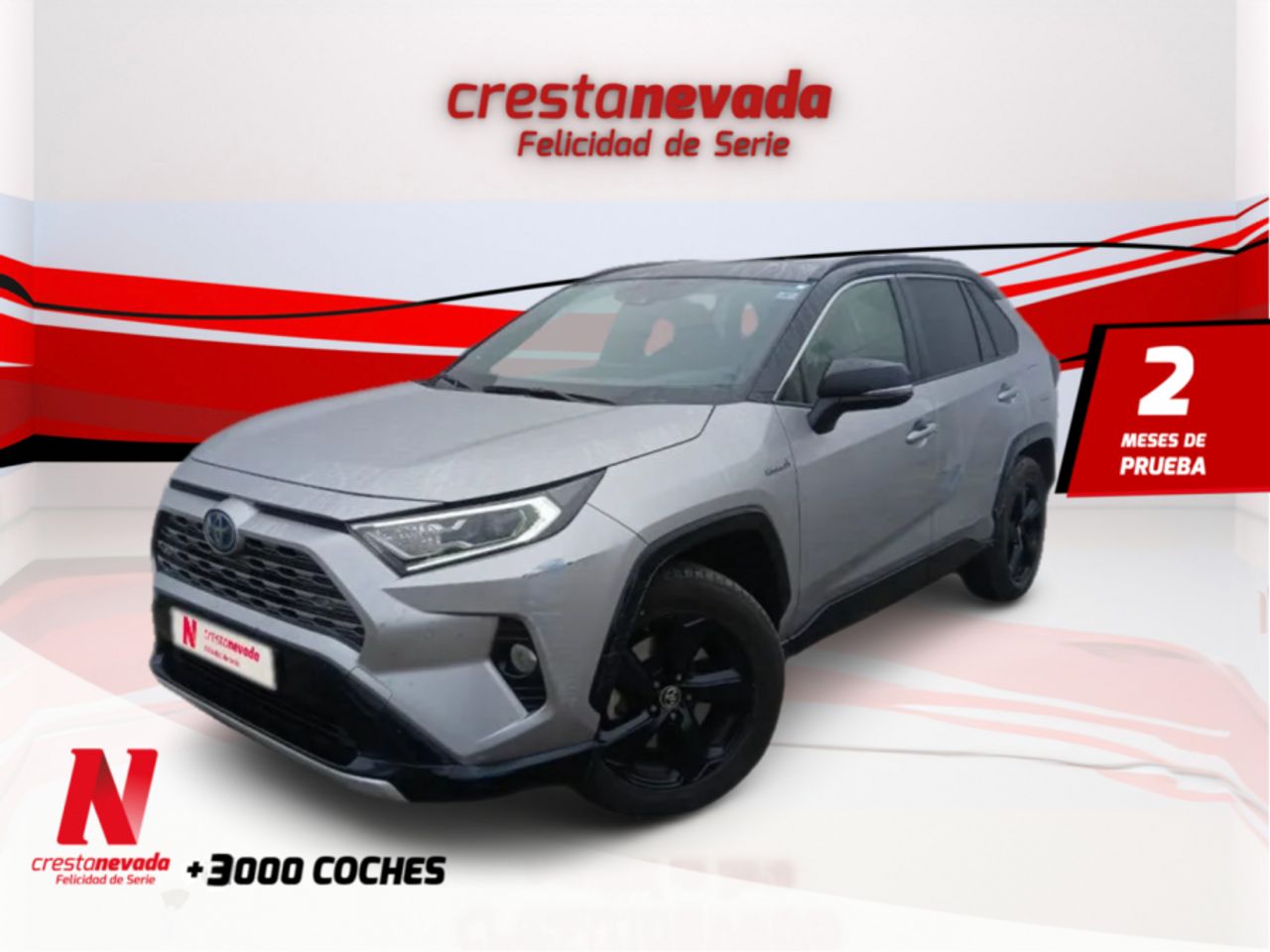 Foto toyota rav4 2019 /