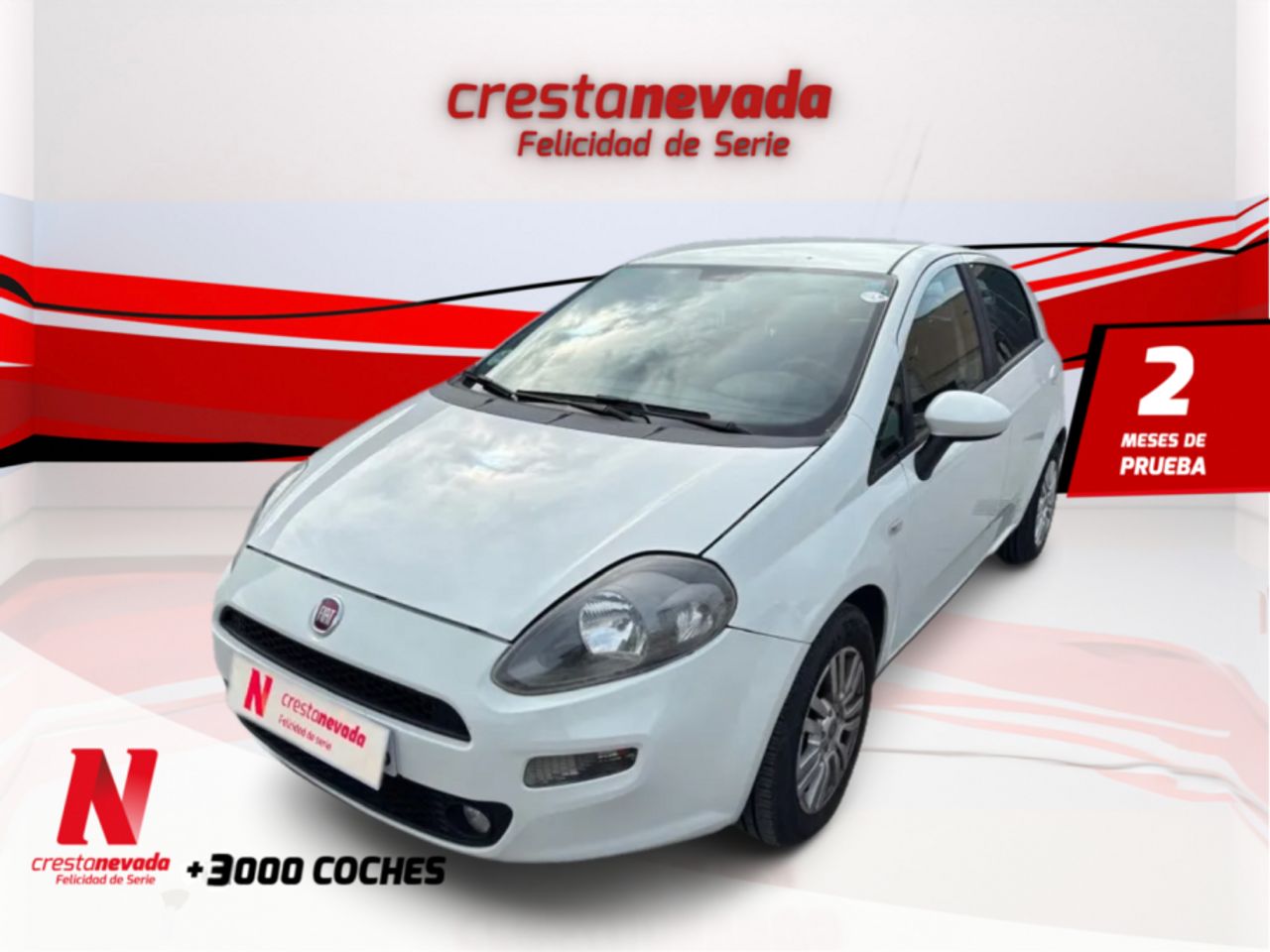 Foto fiat punto 2015 /