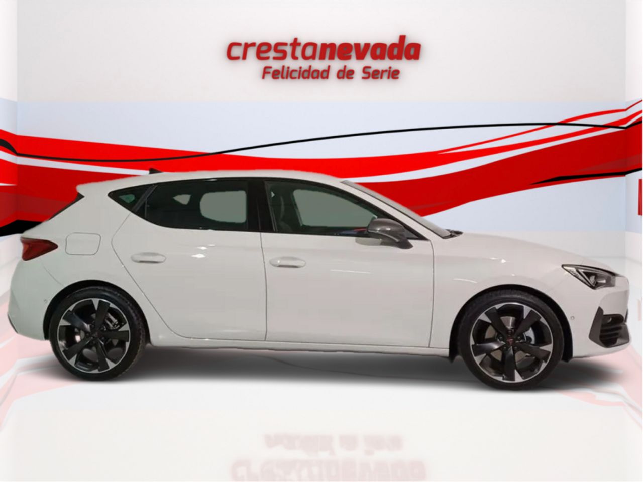 cupra león 2024 / foto grande (3)