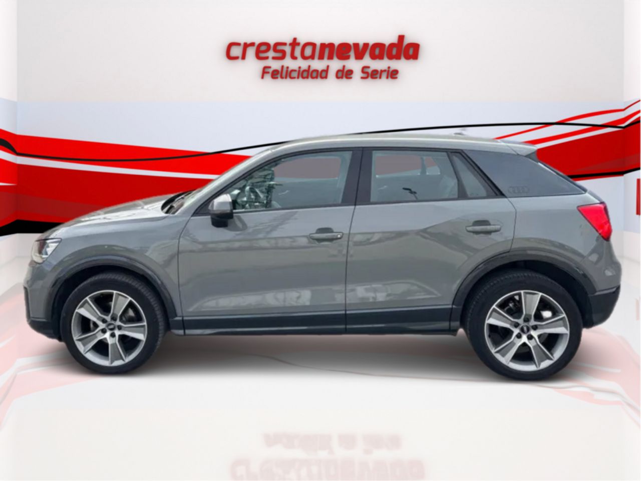 audi q2 2019 / foto grande (3)