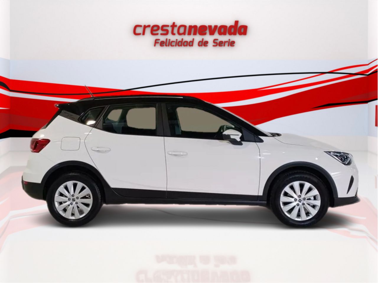 seat arona 2024 / foto grande (2)