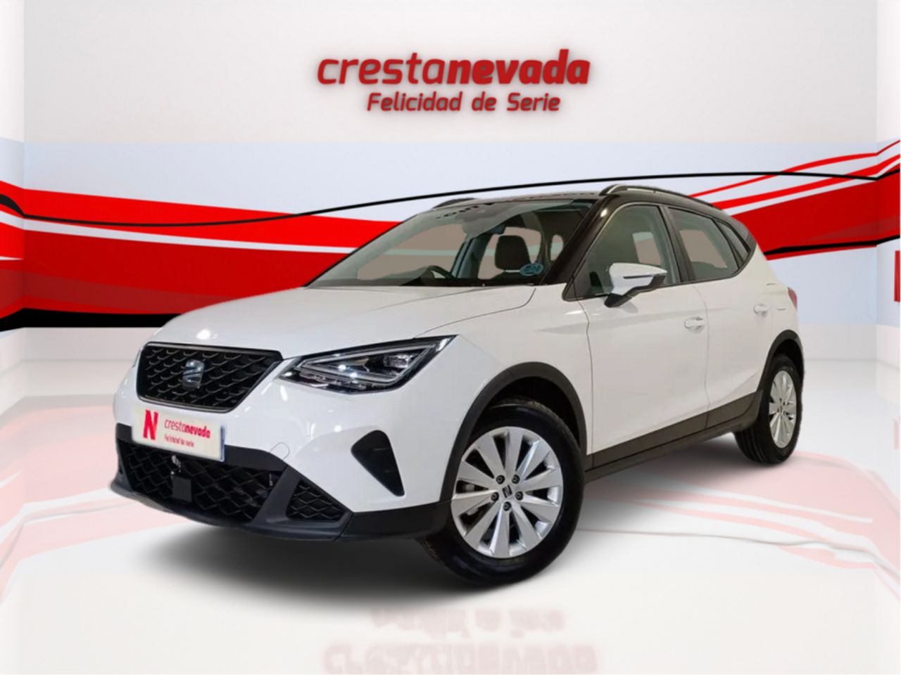 Foto seat arona 2024 /