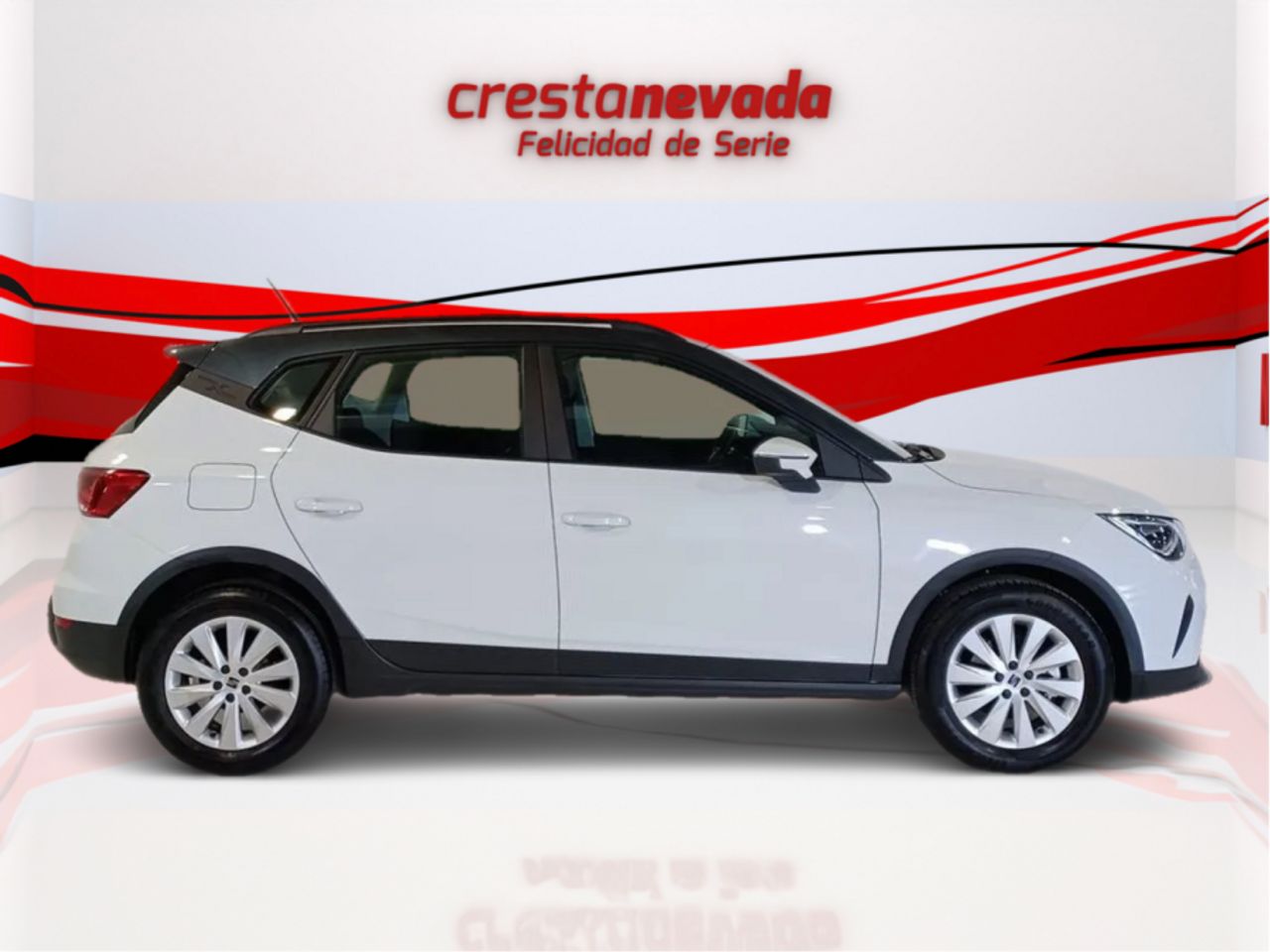 seat arona 2024 / foto grande (2)