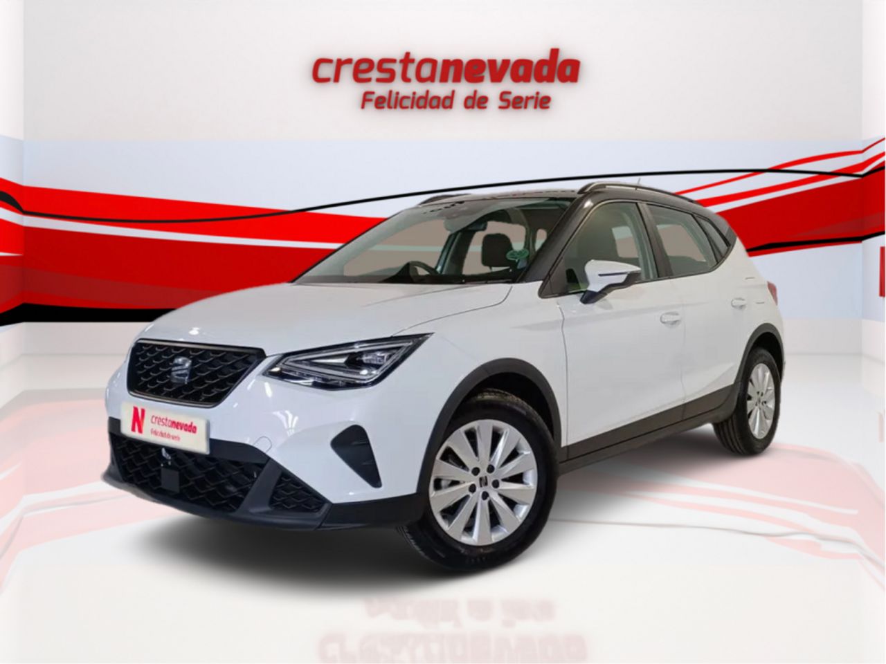 Foto seat arona 2024 /