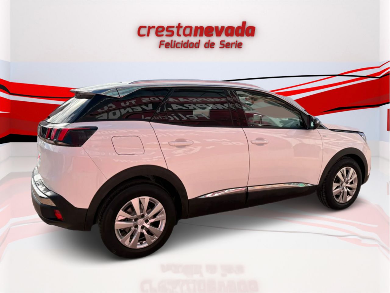 peugeot 3008 2020 / foto grande (3)