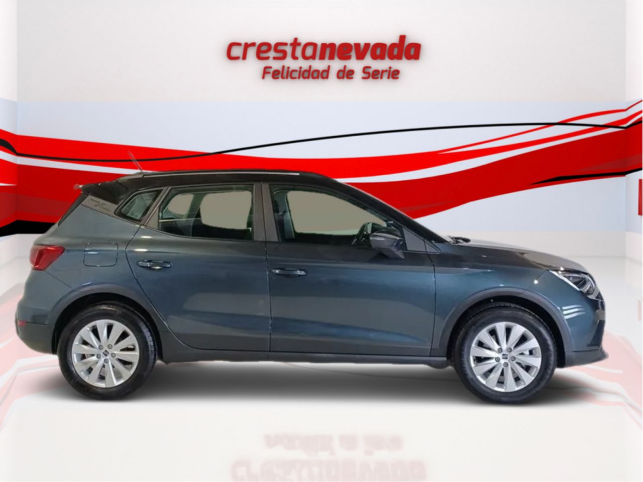 seat arona 2024 / foto grande (2)