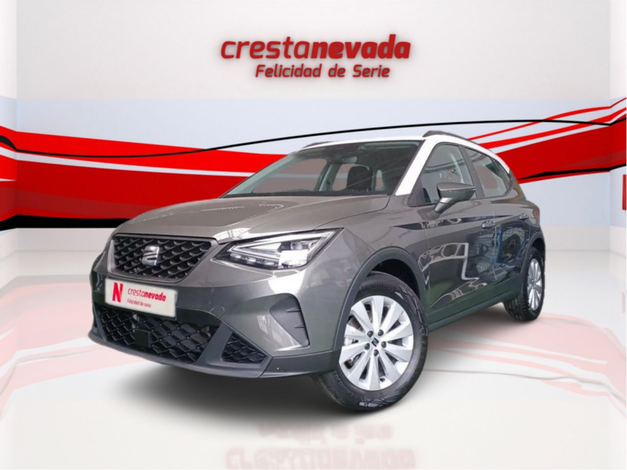 Foto seat arona 2024 /