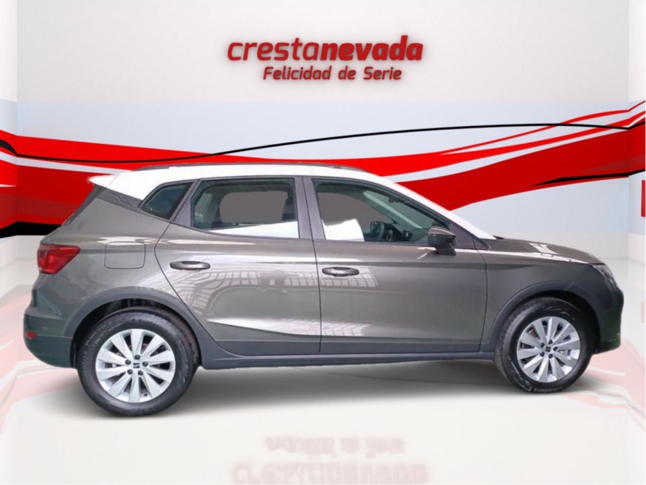 seat arona 2024 / foto grande (2)