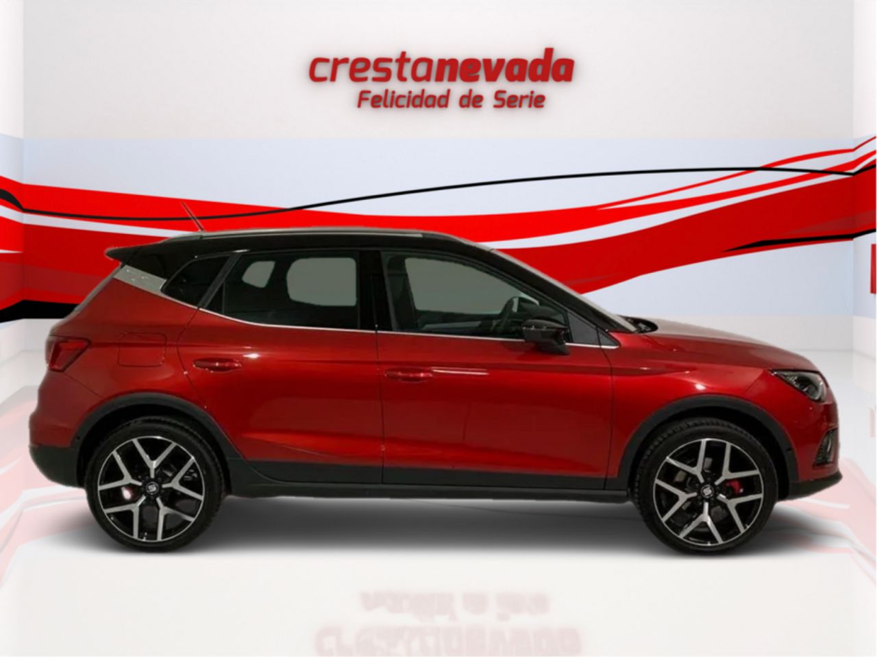 seat arona 2020 / foto grande (2)