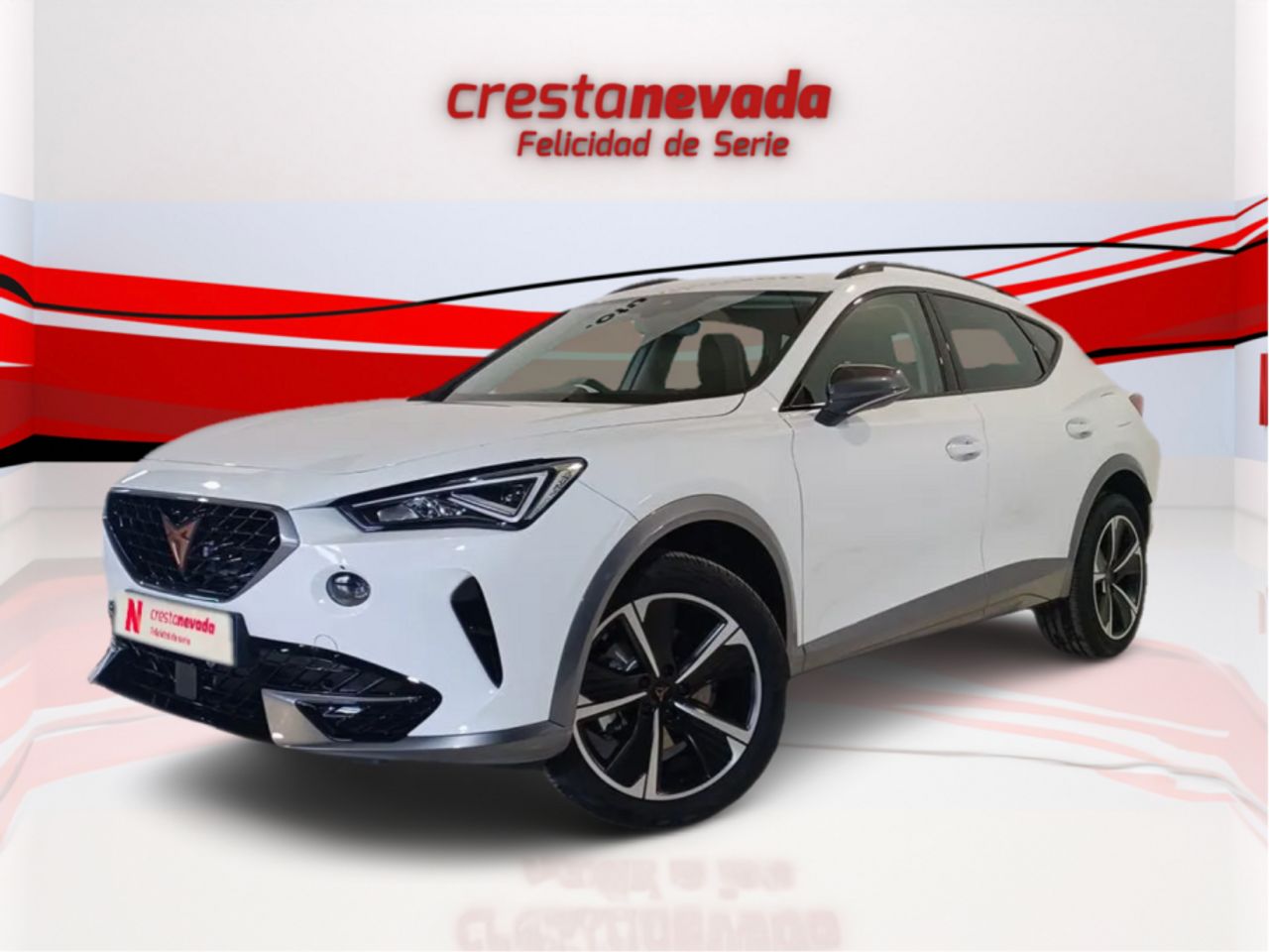 Foto cupra formentor 2022 /