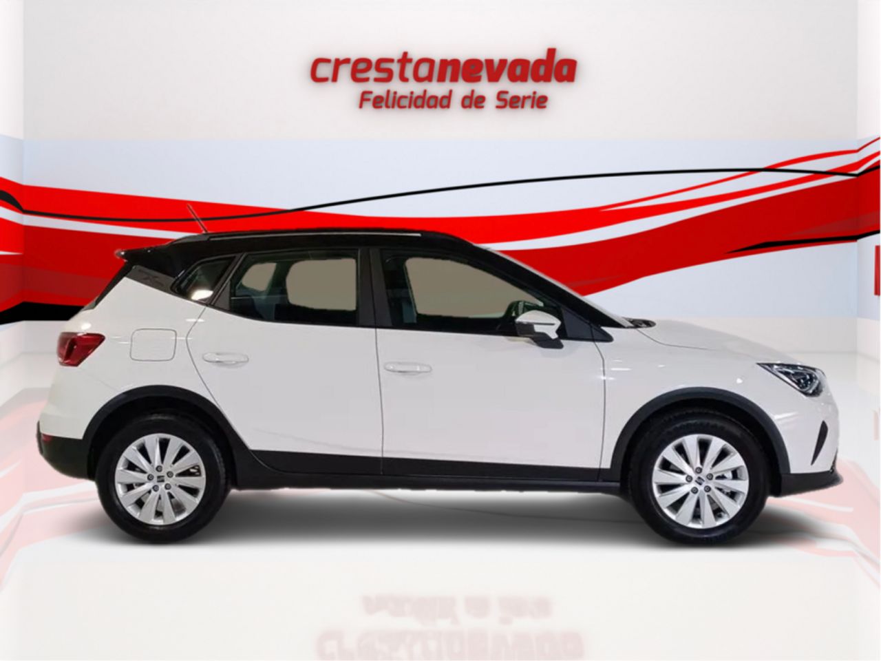 seat arona 2024 / foto grande (2)