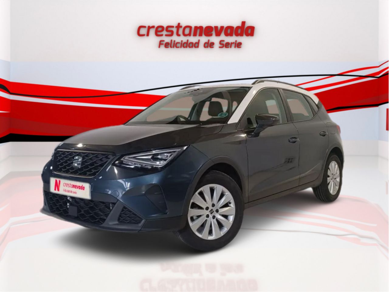 Foto seat arona 2024 /