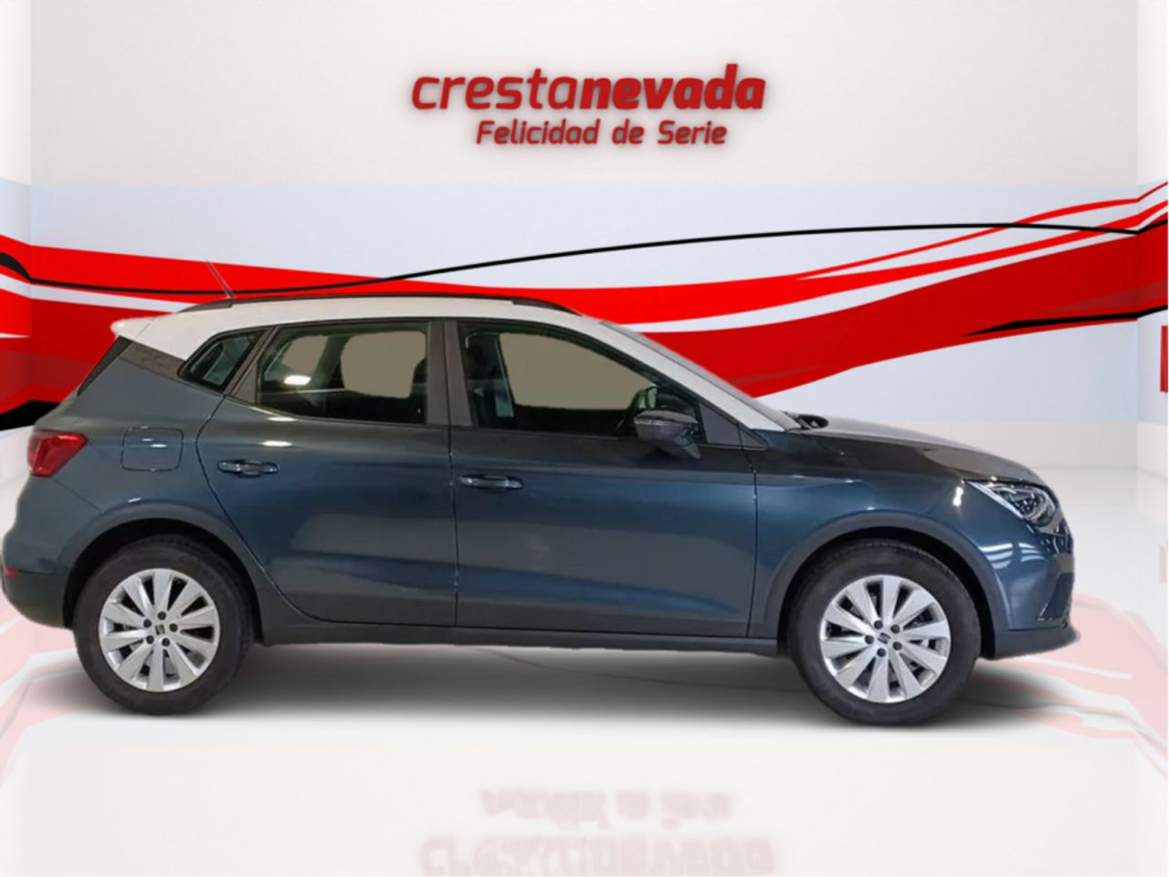 seat arona 2024 / foto grande (2)