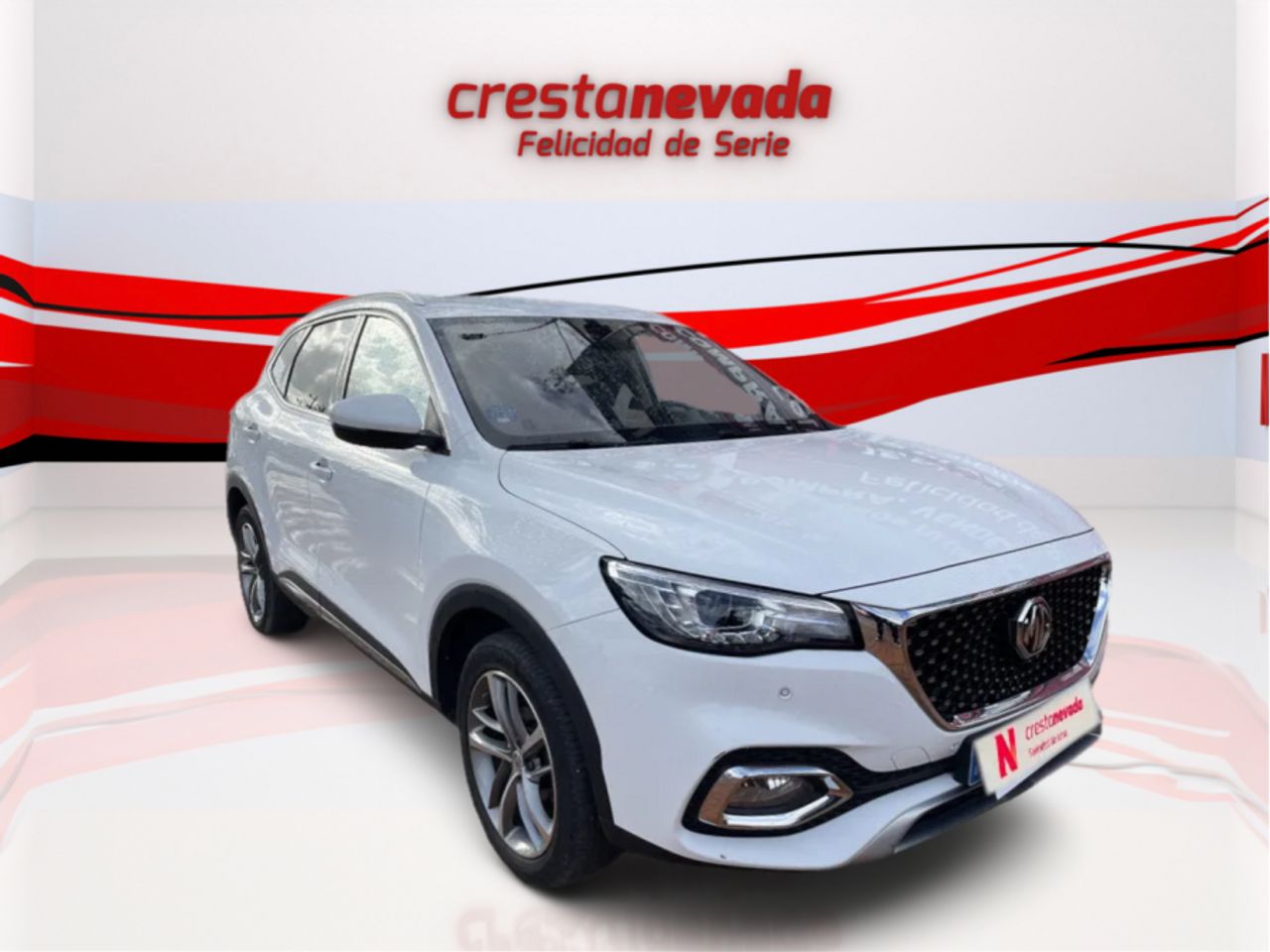 mg ehs 2022 / foto grande (3)